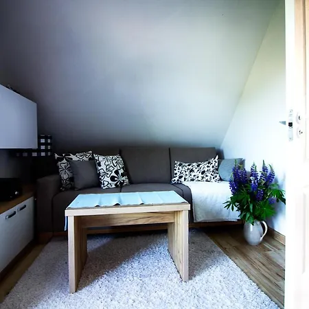 Holiday home Dom Piasutno
